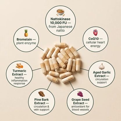 Support Healthy Arteries & Circulation with Nattokinase (10,000 FU)