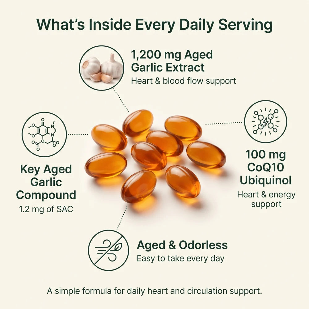 Keep Your Blood Flowing Smoothly with Aged Garlic + CoQ10 (1,200mg)